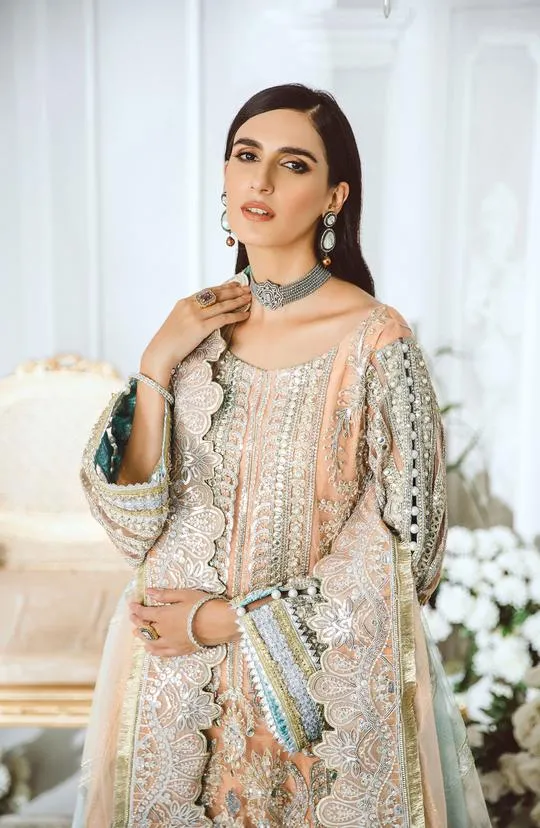 Elegant Women's Pakistani Clothes in Peach Color #PF182