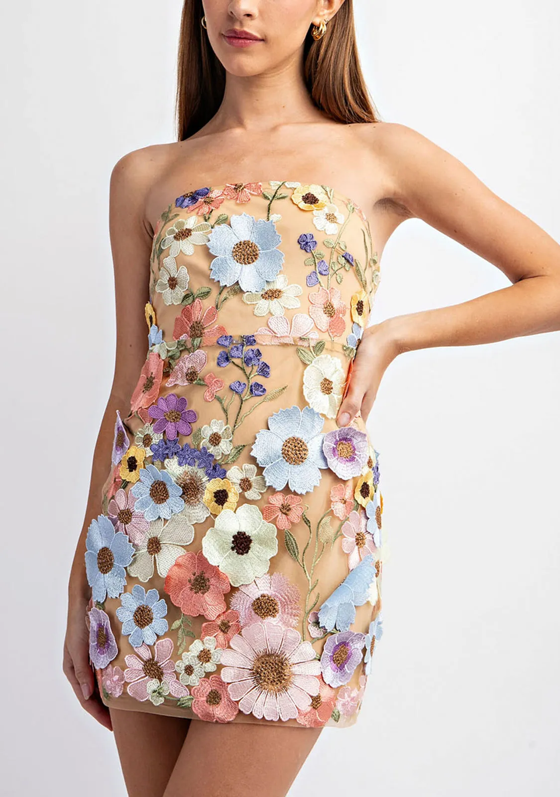 Flower 3D Embroidery Tube Mini Dress