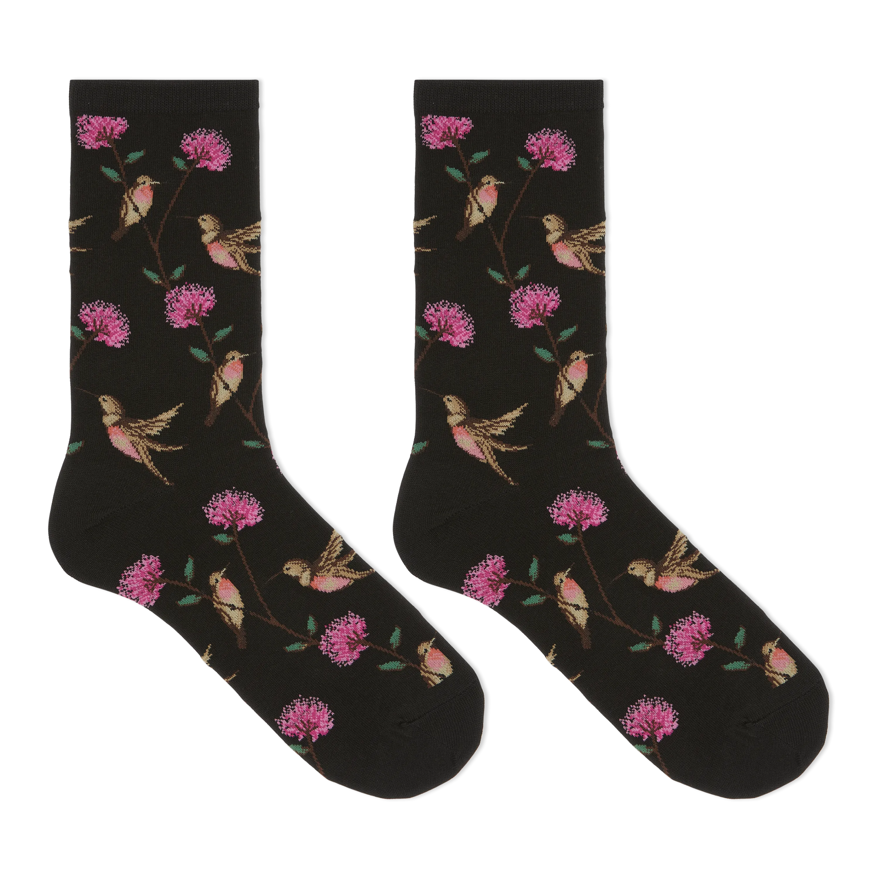 HOTSOX Women's Hummingbirds Crew Socks
