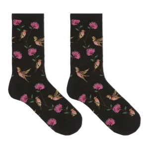 HOTSOX Women's Hummingbirds Crew Socks