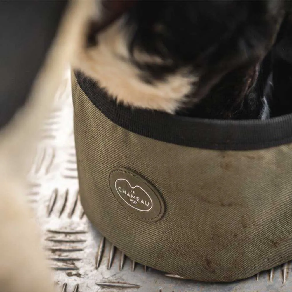 LE CHAMEAU Portable Dog Bowl - Iconic Green