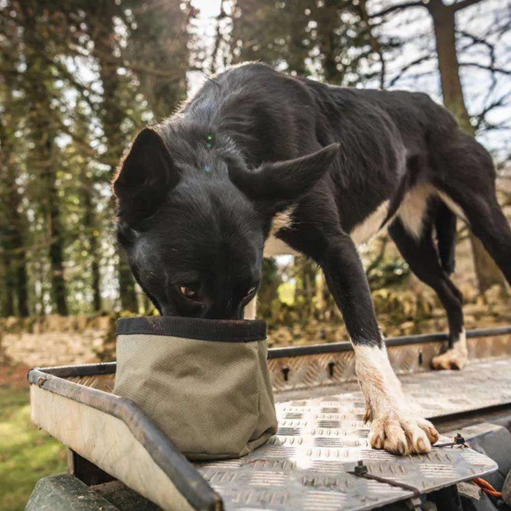 LE CHAMEAU Portable Dog Bowl - Iconic Green
