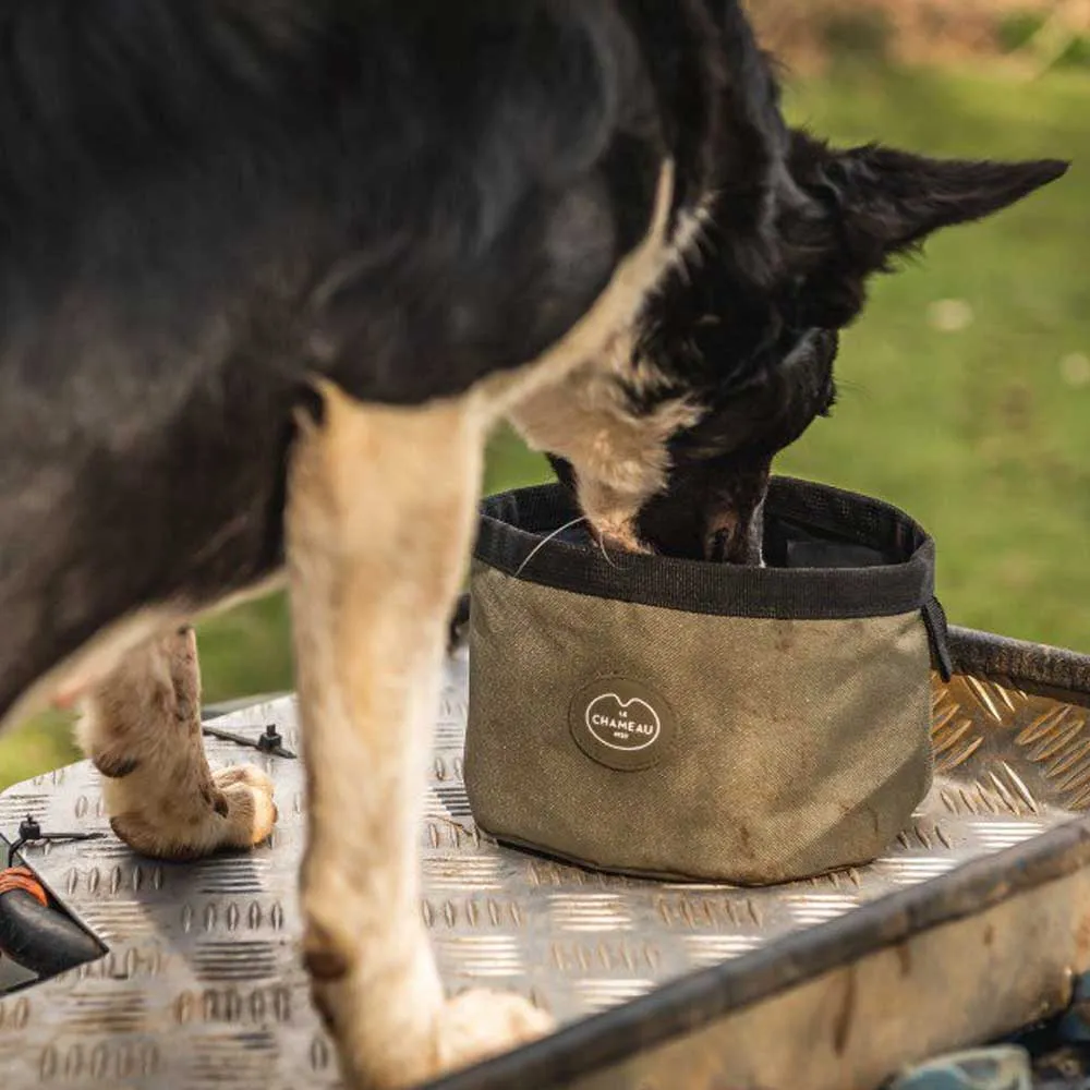 LE CHAMEAU Portable Dog Bowl - Iconic Green