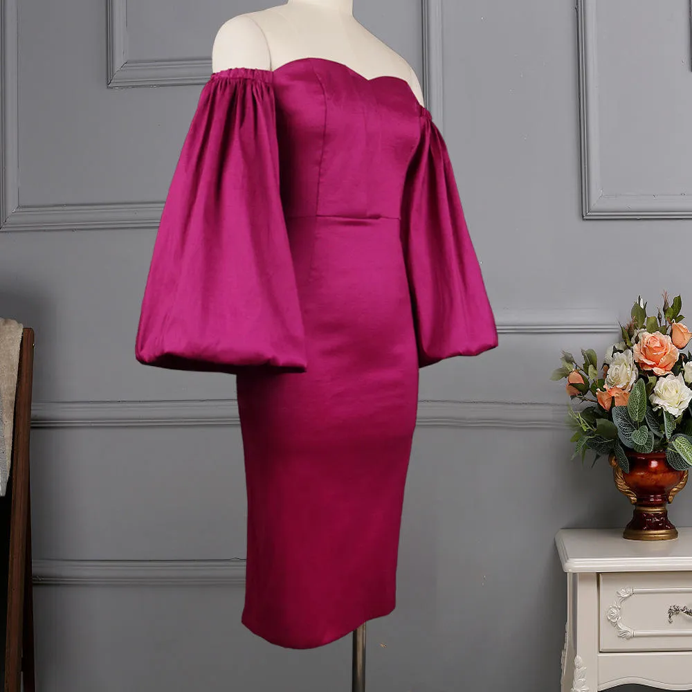 Long puffy sleeves Elegant Dress