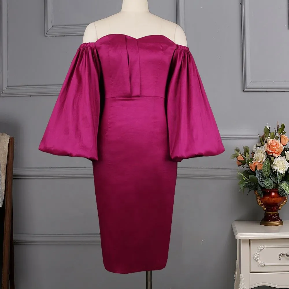Long puffy sleeves Elegant Dress