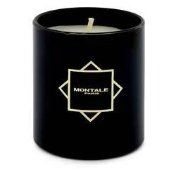 Montale Aoud Ambre Scented Candle By Montale