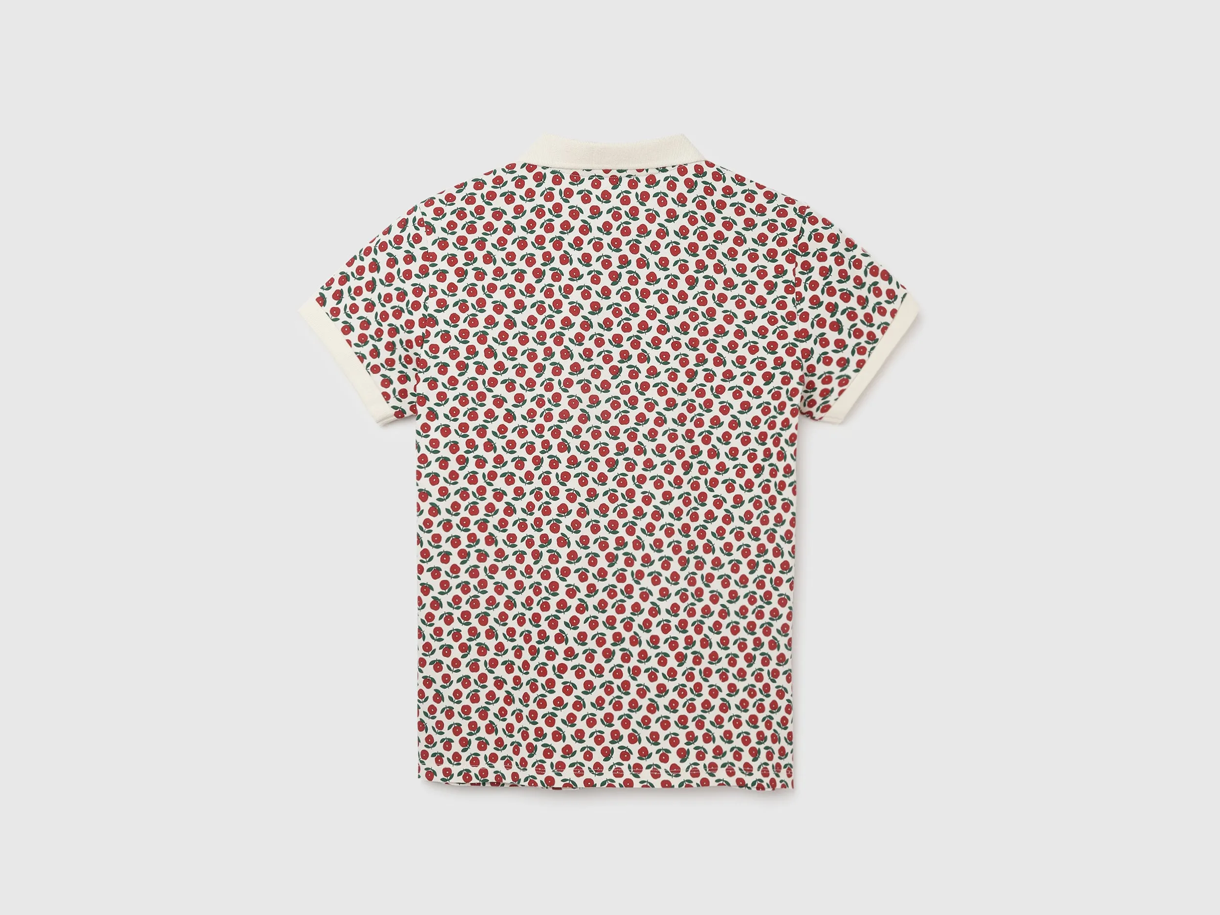 Regular Fit Polo Neck Printed Women's T-Shirt