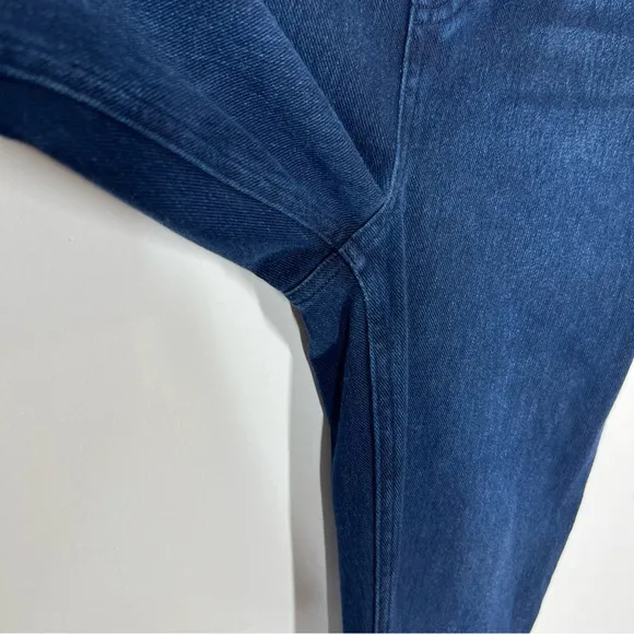 Spanx Jean-ish Ankle Leggings Twilight Rinse Sz L