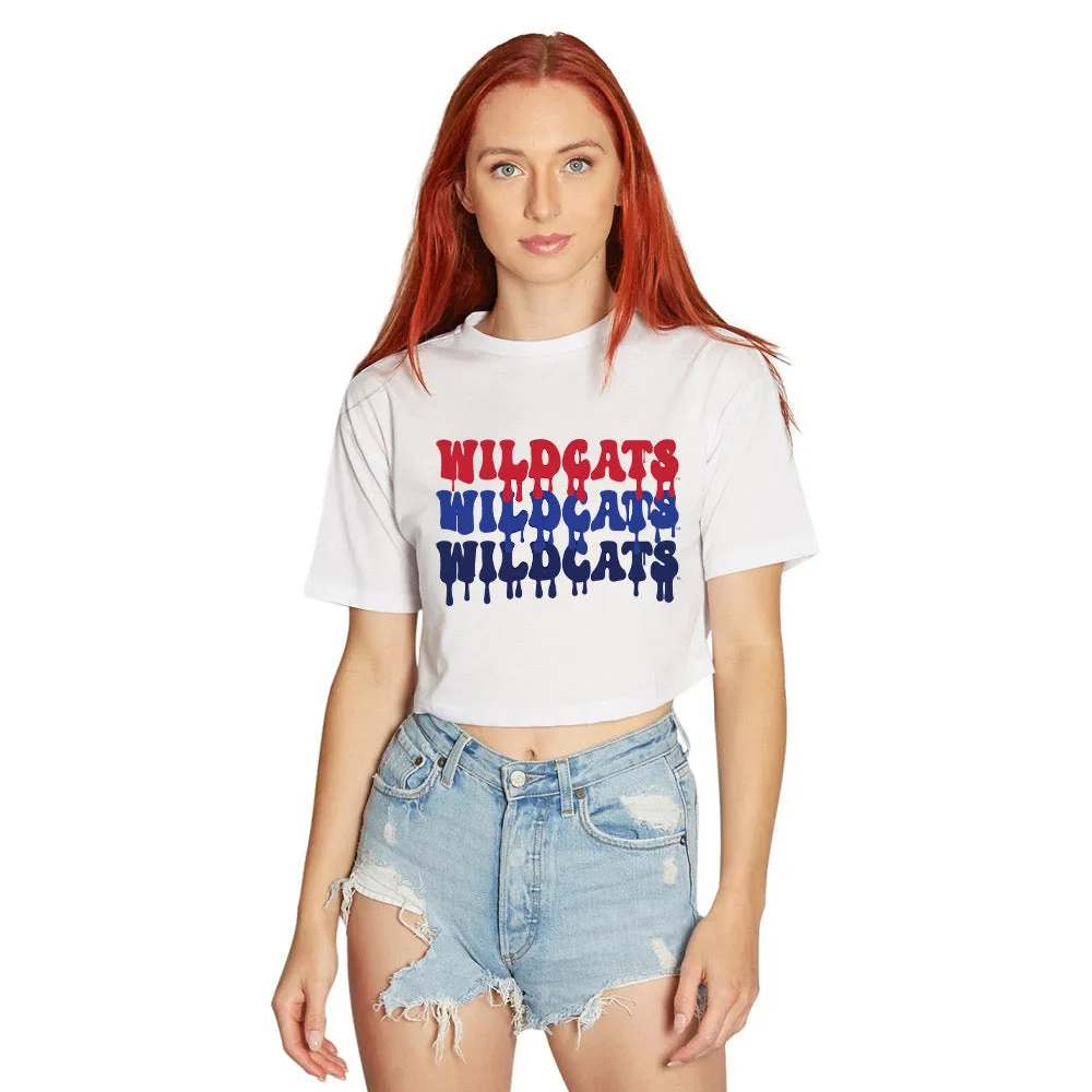 University of Arizona Drip Tee