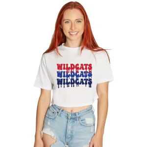 University of Arizona Drip Tee