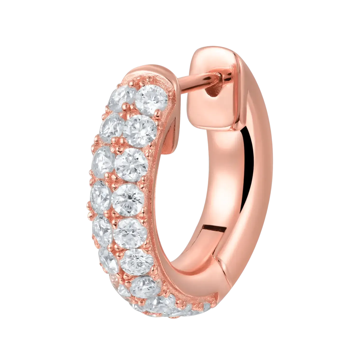Women's Double Row Hoop Earring
