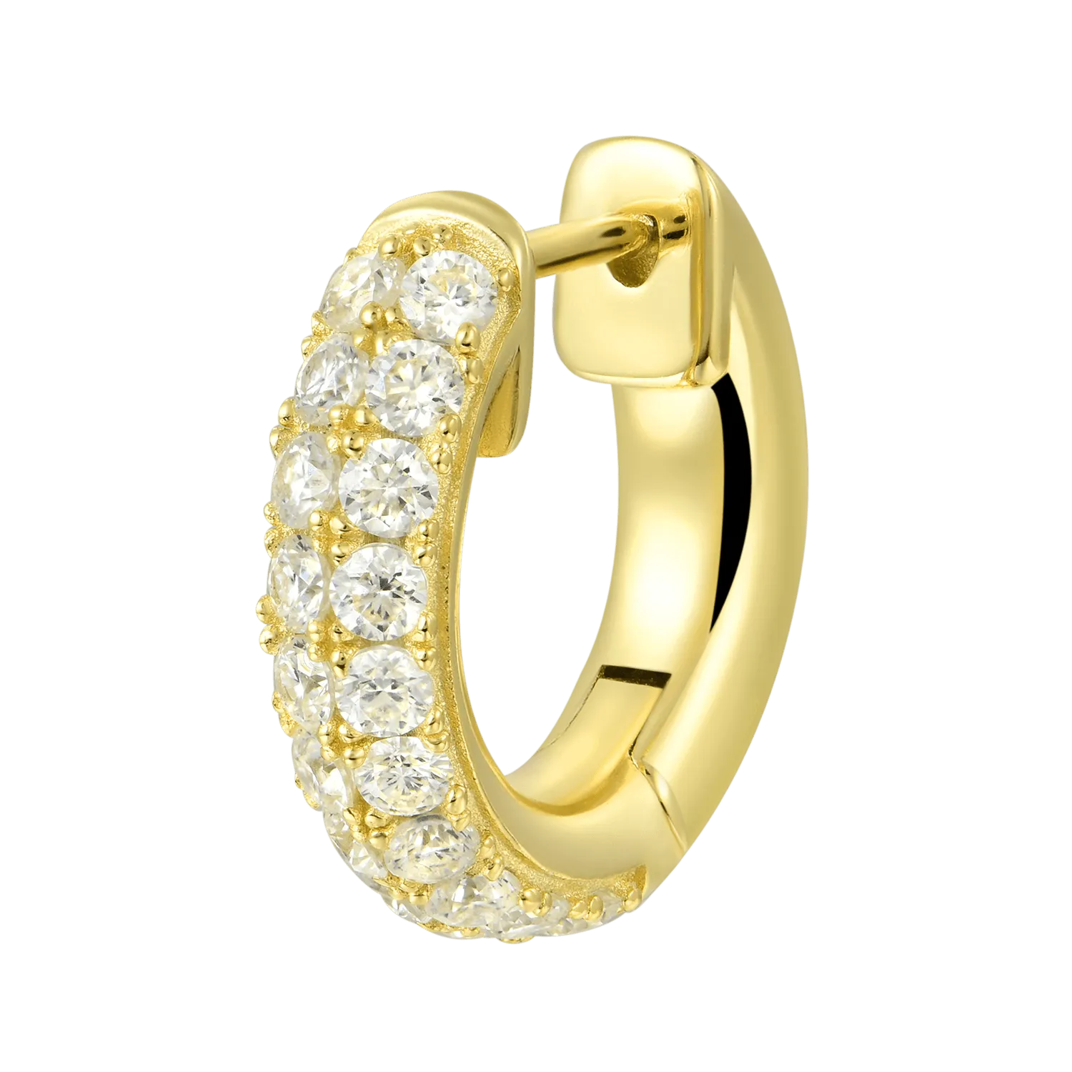 Women's Double Row Hoop Earring