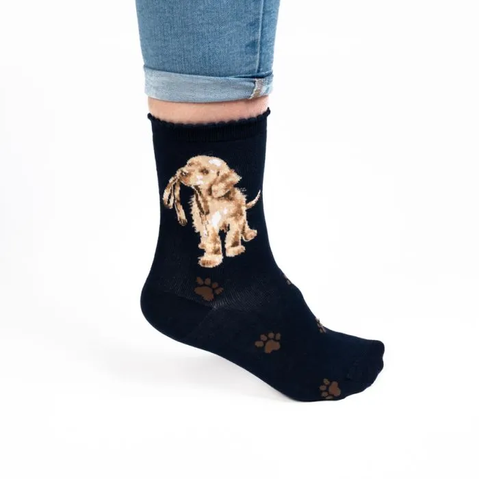 Wrendale 'Hopeful' Socks